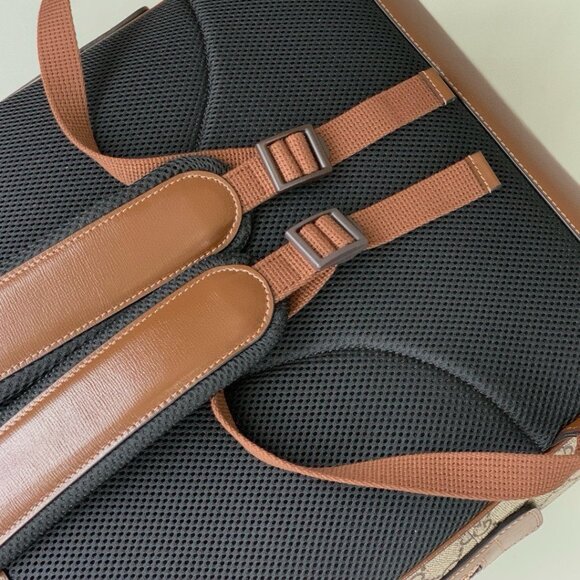 Step Out Boldly with the GUCCI Dionysus - Picture 8 of 9